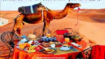 what-to-do-in-Morocco-for-a-week-5