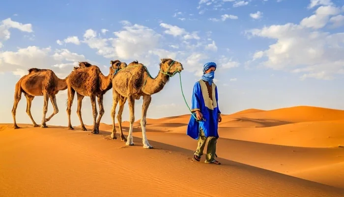 12-days-tour-from-Casablanca-Day-7-Merzouga