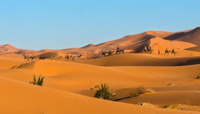 Morocco_Itinerary_14_Days_Merzouga