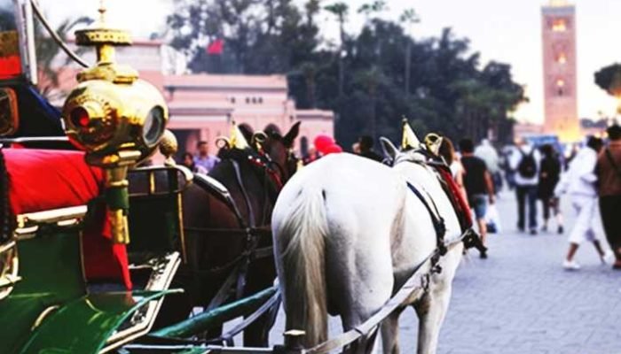 marrakech morocco