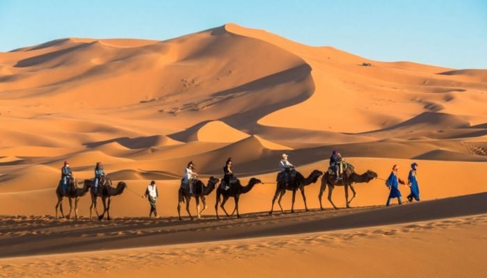 Merzouga / Morocco - March 26th, 2018: A touristic caravan of camels at the Erg Chebbi dunes in the Sahara at sunset