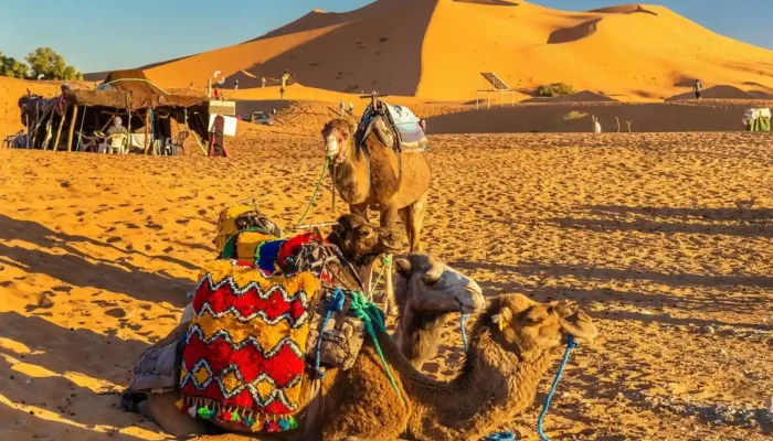 10-Days-tour-from-Marrakech-Day-5-Merzouga