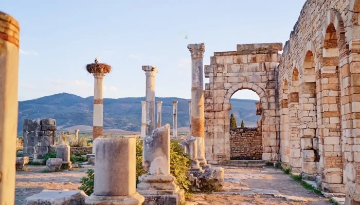 10-days-tour-from-Marrakech-Day-7-Volubilis