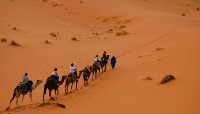 Tour from Marrakech to Fes (2)