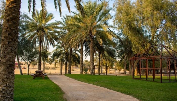 desert-morocco