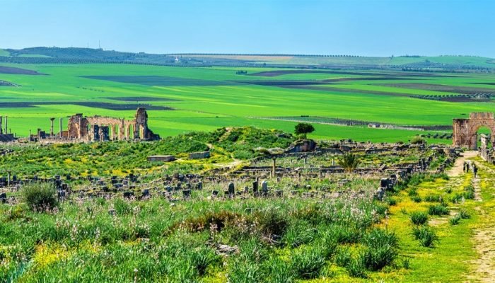 volubilis (1) mekness